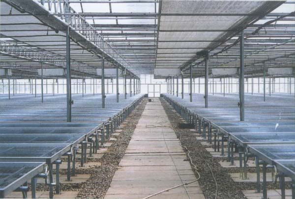 Sunshade net made in Vietnam