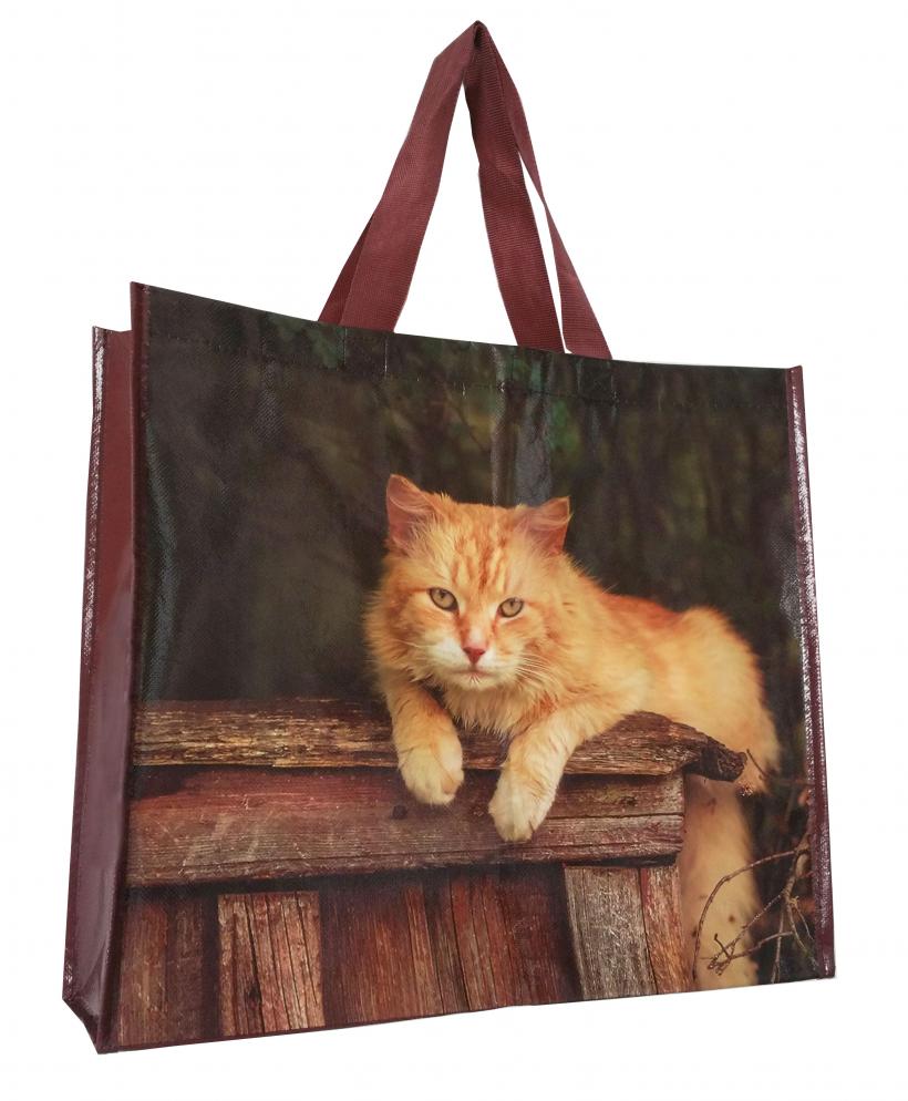 non woven bag in good price